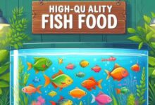 High-quality fish food