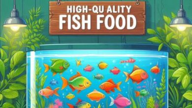 High-quality fish food