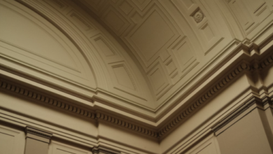 shop trim moulding