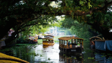 kochi holiday packages