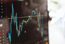 check IPO Allotment Status