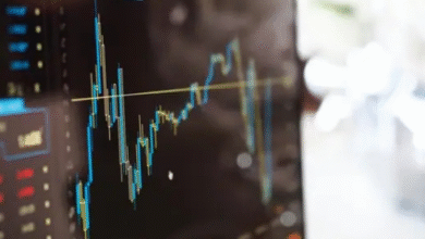 check IPO Allotment Status