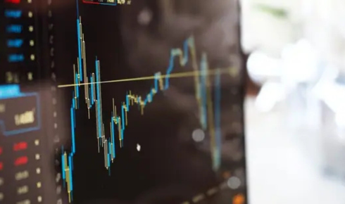 check IPO Allotment Status