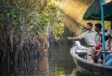Sundarban trip